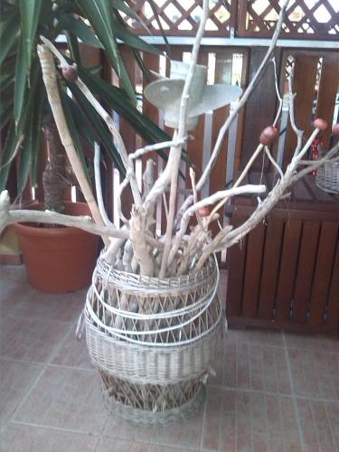 a plant in a vase with branches in it at Appartamenti Claudia Rio in Rio Marina