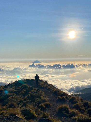a man standing on top of a mountain looking at the sun at Coconut Homestay Tetebatu in Tetebatu