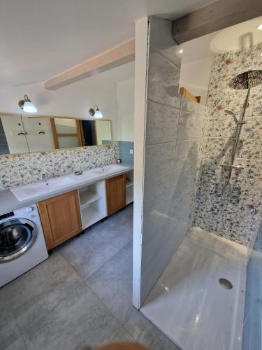 une salle de bain avec douche et machine à laver dans l'établissement Maison au bord de l'eau, à Saint-Priest-la-Roche