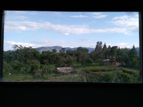 a view from a window of a field with trees at Botón de oro hostal in San Agustín