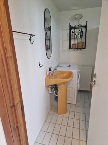 霍芬Studio apartment with great view in Höfn的带水槽和镜子的浴室