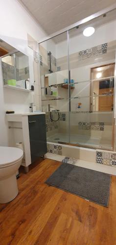 une salle de bain avec une douche, des toilettes et un lavabo dans l'établissement Le Studio des Voyageurs, à 2 pas de la Gare, à Carcassonne