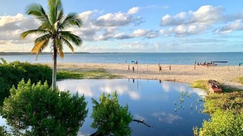 a beach with a palm tree and people on the beach at Pousada Paraíso Beach in Santa Cruz Cabrália