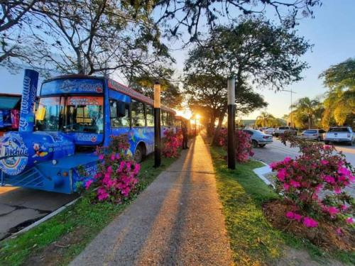 Κήπος έξω από το Complejo Casa del Lago