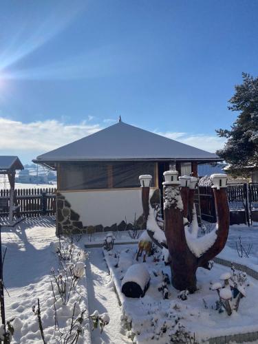 a snow covered yard with a tree and a building at Casa Tăslovan in Sărmaş