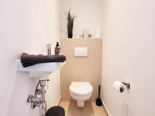 een badkamer met toilet en wastafel bij Buchengasse Apartment Vienna - Free Highspeed-Internet in Wenen