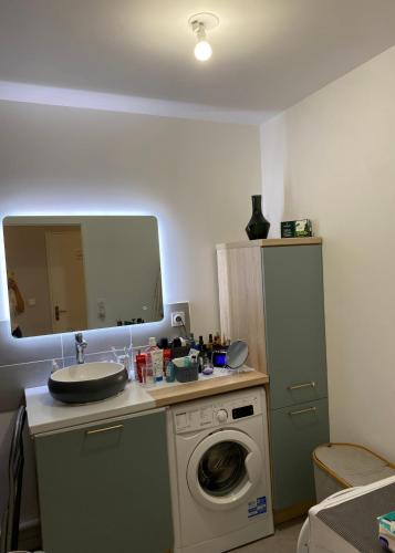 une salle de bain avec une machine à laver et un lavabo dans l'établissement Chambre privée chez l'habitant, à Cesson-Sévigné