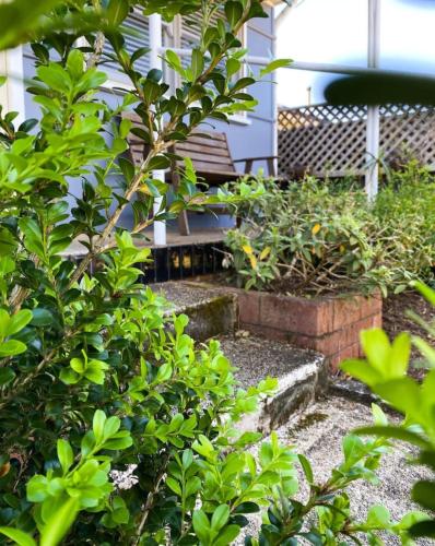 Zahrada ubytování 3BR Cottage in the Heart of Bellingen - Hosted by Canstay