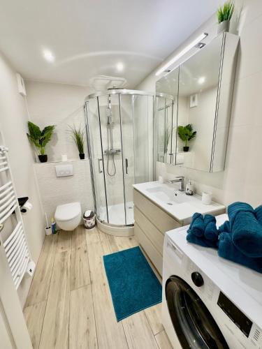 une salle de bain avec douche et machine à laver dans l'établissement Regent Côte d'Azur air-conditioned, pool, garden & parking, à Villeneuve-Loubet