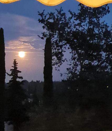 a view of a sunset with trees and the sun at StarLight SeaView in Gouvia