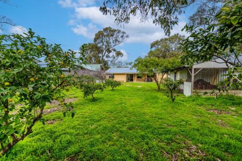 a garden with orange trees in front of a house at The Vintage Beach House in Dawesville