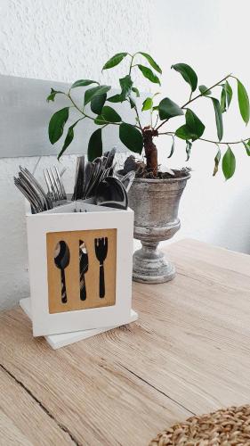 a potted plant sitting on a table with a plant at Ferienwohnungen Naturzeit in Willingen