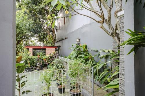 Κήπος έξω από το Calma Coliving at Bintaro, Tangerang Selatan