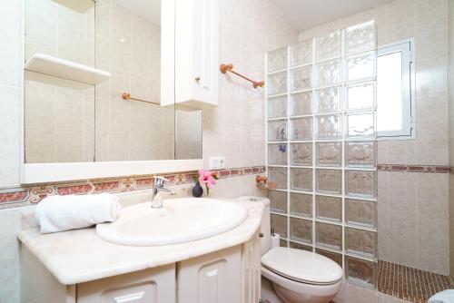 a bathroom with a sink and a toilet and a mirror at Green garden in El Tosalet