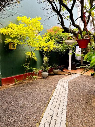 Jardín al aire libre en THE FREEDOM