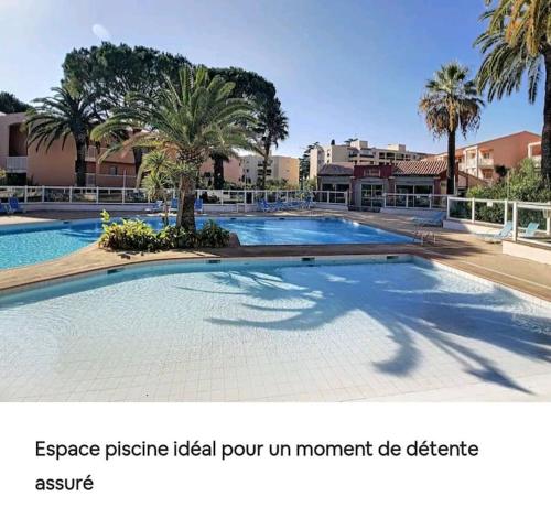 - une grande piscine avec des palmiers dans un complexe dans l'établissement Agreable et Calme 3 pieces Terrasse, Piscine, Tennis, Plage, à Vallauris