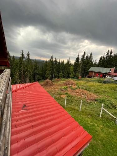 a red roof on a house in a field at Cabana dintre brazi in Muntele Băişorii