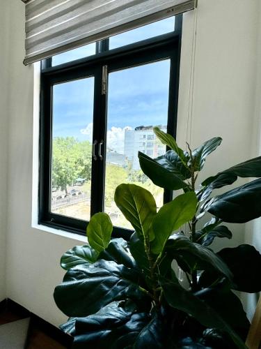 a plant sitting in front of a window with a view at Homestay Green Quy Nhơn in Quy Nhon