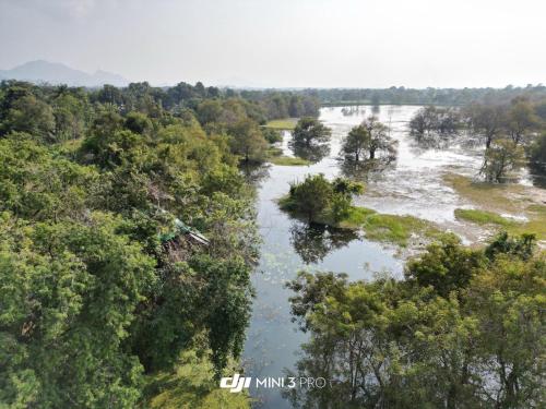 an aerial view of a river with trees at Elephant Lake Villa, Yoga & Meditation Sanctuary in Sigiriya