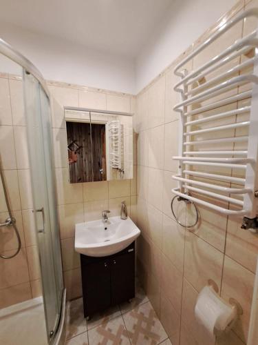 a bathroom with a sink and a shower at Haus in der ruhigen Siedlung in Sztum