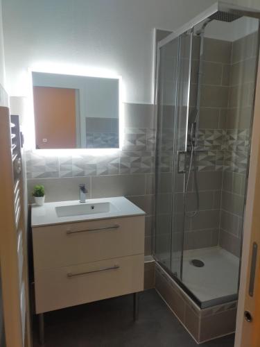 une salle de bain avec une douche, un lavabo et un miroir dans l'établissement #FP The Golfer's Nest - Studio - Uriage, à Vaulnaveys-le-Haut