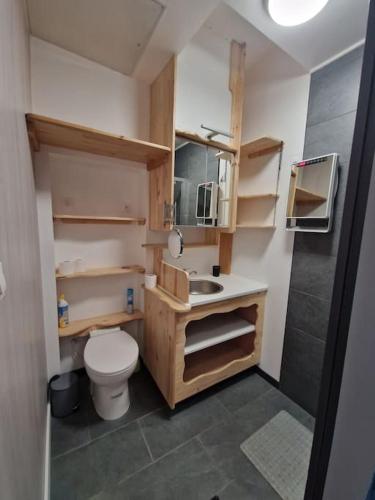 une petite salle de bain avec toilettes et lavabo dans l'établissement Studio meublé, à Lunel