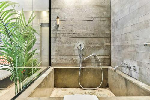 La salle de bains est pourvue d'une cabine de douche et d'une plante. dans l'établissement Residence Fremiet Tour Eiffel, à Paris