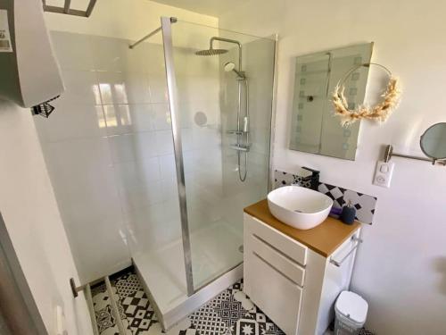 a bathroom with a shower and a sink at Gîte Pays Basque Domaine de La Lande "Les pins" in Came