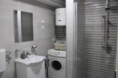 a bathroom with a washing machine and a sink at IN SILVER Apartman in Vršac
