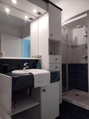 une salle de bain avec un lavabo et une douche dans l'établissement Le Repère - Idéal Famille ou Amis - Pau, à Pau