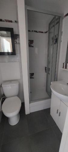 une salle de bain avec toilettes, douche et lavabo dans l'établissement LE BOIS DES COQS 1 Studio 2 à 3p Serre Chevalier 1350m avec balcon 5m2 parking et casier à ski, à Saint-Chaffrey
