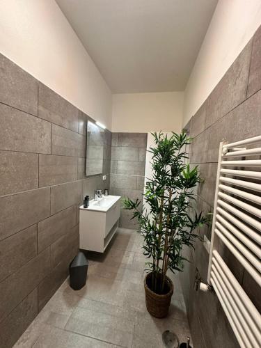 HV Suites DECUMANUS