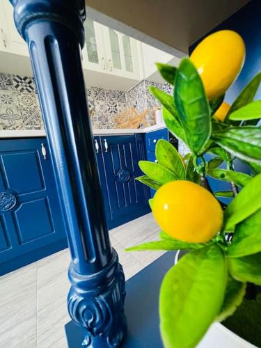 a blue pole with a plant with lemons on it at Positano in Varna City
