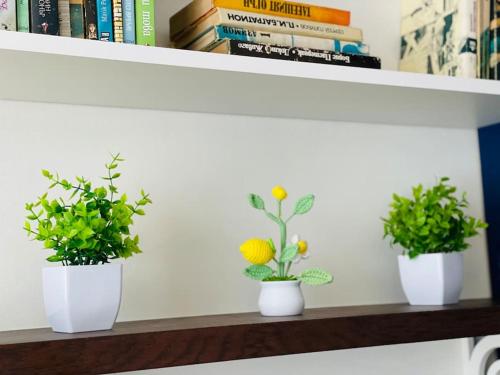 three plants in white pots sitting on a shelf at Positano in Varna City