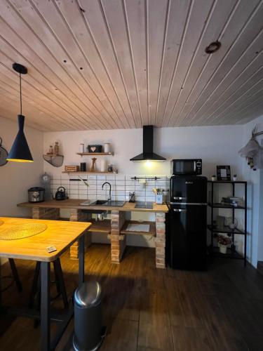 a kitchen with a table and a black refrigerator at Loft Apartments in Šluknov
