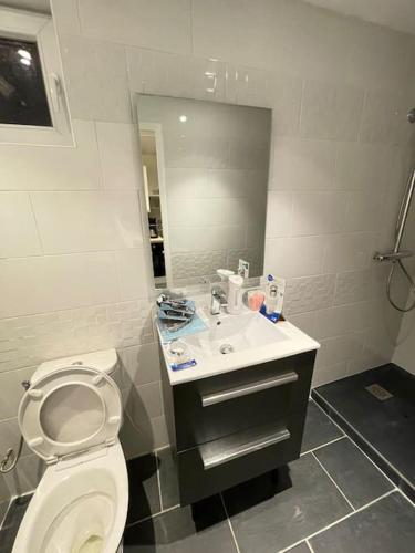 une salle de bain avec toilettes, lavabo et miroir dans l'établissement Petite maison sympathique, à Saint-Malo