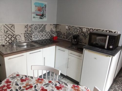 une petite cuisine avec un micro-ondes et un évier dans l'établissement la bananeraie, à Pouilly-sur-Loire