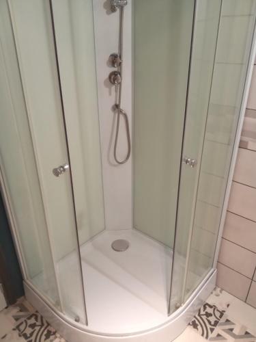 une douche avec une porte vitrée dans une salle de bain dans l'établissement la bananeraie, à Pouilly-sur-Loire