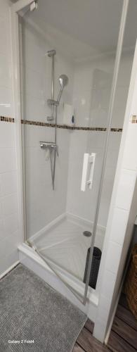 a shower with a glass door in a bathroom at Les Figuets in Châteauneuf-de-Galaure