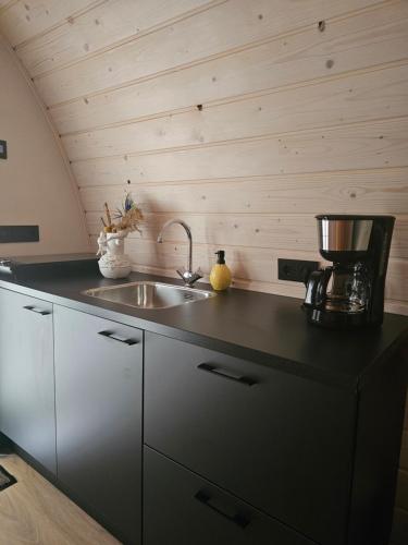 a kitchen with a sink and a mixer on a counter at Tiny House De Piiptsjilling in Westergeest