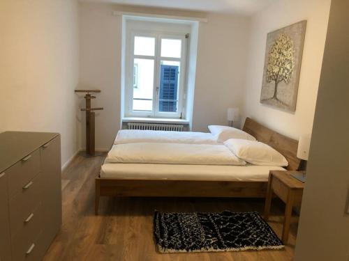 Fantastic 2BR flat close to Paradeplatz - Canal2