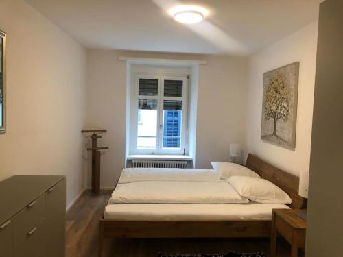 Fantastic 2BR flat close to Paradeplatz - Canal2