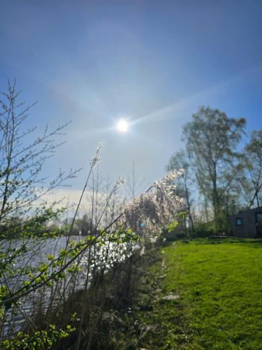 a view of a river with the sun in the sky at Tiny House De Piiptsjilling in Westergeest
