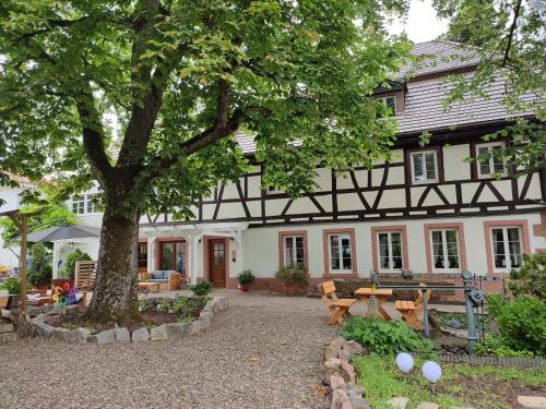 a house with a tree in front of it at Boutique-Hotel Krone in Denzlingen