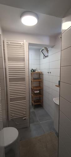 a bathroom with a toilet and a sink at Apartman na Pekarske in Brno