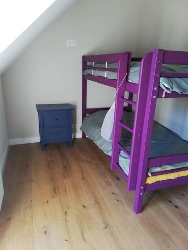 Ce lit superposé violet se trouve dans un dortoir doté de parquet. dans l'établissement Maison de pêcheur restaurée 2022 à 800 m de la plage, GR34, à Moëlan-sur-Mer