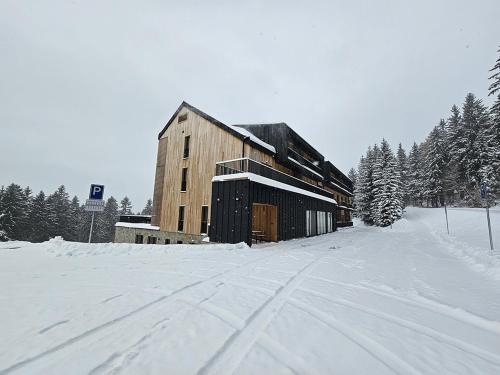 a large wooden building in the snow with trees at DeLuxe apartmán s možností wellness Benecko 4 by AlkaTravel in Benecko