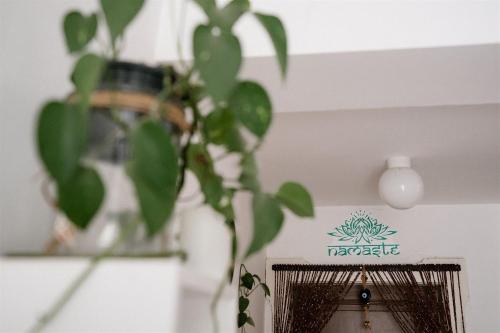 a plant in a room with a sign on the wall at in lak'ech - rooms in Chironico