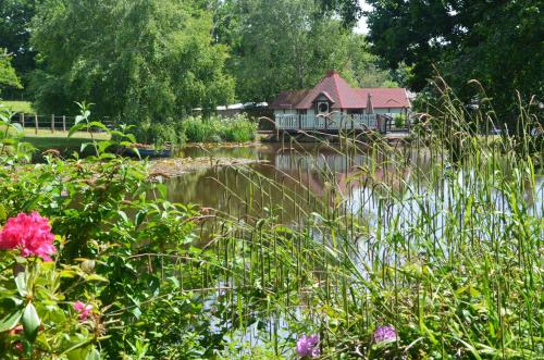 Galeriebild der Unterkunft Silver Birch Cabin, Bulbury Farm in Lytchett Matravers