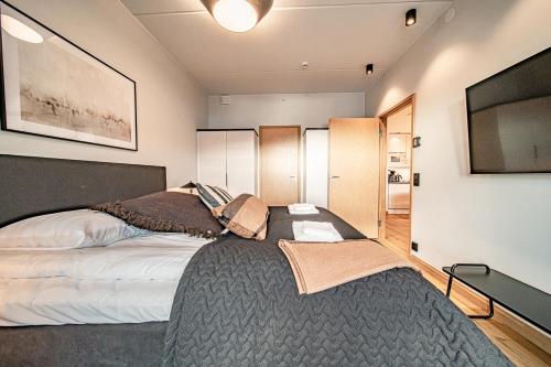 Μια τηλεόραση ή/και κέντρο ψυχαγωγίας στο Ski Chalet C27 by Aavalevi Holidays, Levi Center incl 2 ski passes